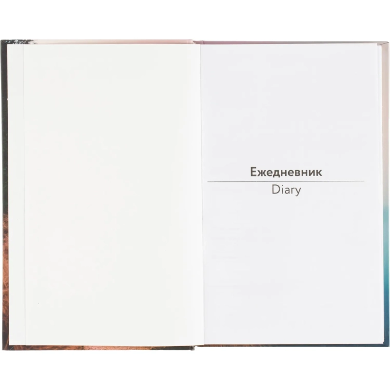 Ежедневник недатированный А5 Дорога 7БЦ, матовый, 128л