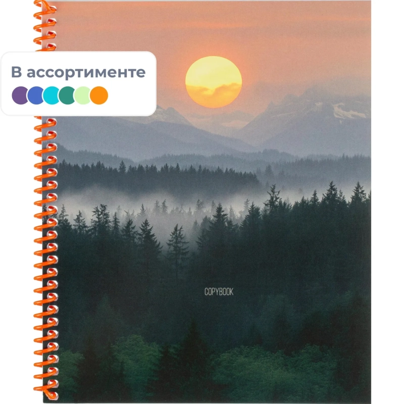 Тетрадь КЛЕТКА А5,48л.КРАСИВЫЕ ПЕЙЗАЖИ-4,цв.спир,цвет.мел.обл,ассор,48-8322