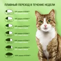 Влажный корм KiteKat для кошек, говядина в соусе, пауч, 85 г