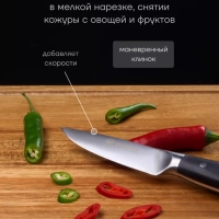 Набор кухонных ножей с подставкой и точилкой Сook Master 5SS