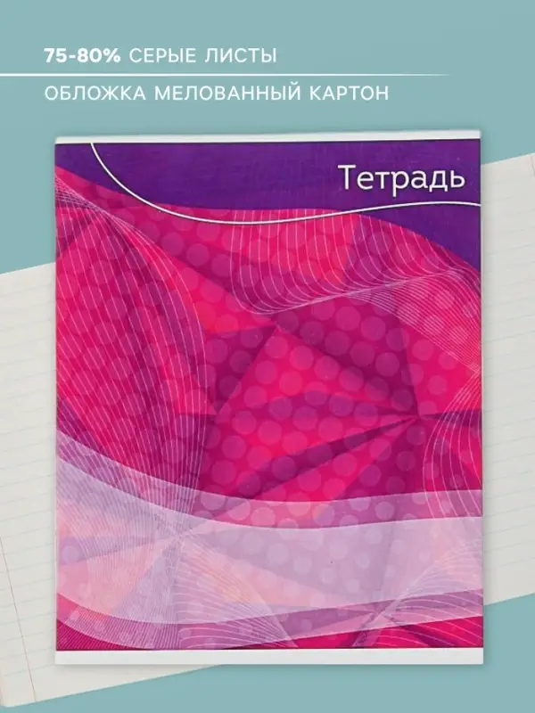 Тетрадь 48 листов в линейку Calligrata «Графика-2», обложка мелованный картон, блок №2, белизна 75% (серые листы), МИКС