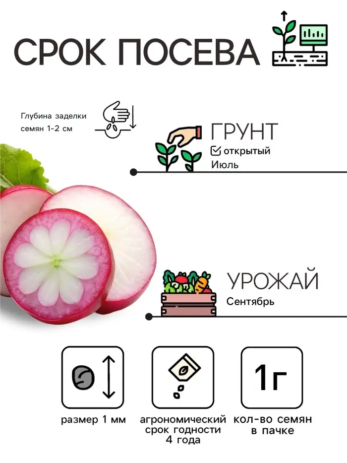 Семена Редька китайская &laquo;Мисато Пинк&raquo;, 1 г, &laquo;Поиск&raquo;
