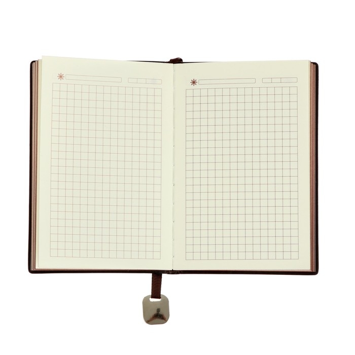 Ежедневник недатированный А6, 116 листов в клетку, обложка ПВХ, тонированный срез, обложка ЛАЙТ, МИКС Ежедневник недатированный А6, 116 листов в клетку, обложка ПВХ, тонированный срез, обложка ЛАЙТ, МИКС