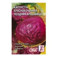 Семена Капуста краснокочанная &laquo;Поздняя красавица&raquo;, 0.5 г, &laquo;Сембат&raquo;