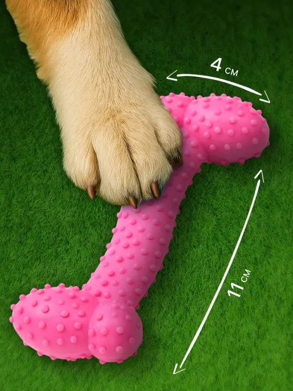 Жевательная игрушка для собак &laquo;Любимое лакомство&raquo;, 11&times;4 см, TPR, розовая