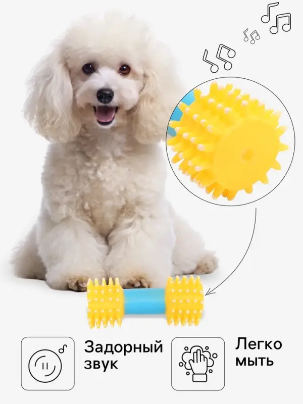 Игрушка для собак пищащая &laquo;Массажная гантель&raquo;, 14 см, жёлтая/голубая