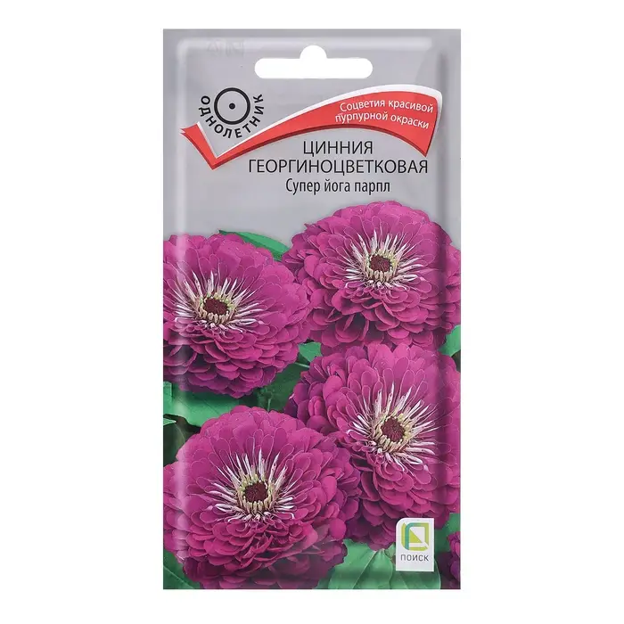 Семена цветов Цинния георгиноцветковая Семена цветов Цинния георгиноцветковая "Супер йога парпл", 0,4гр.