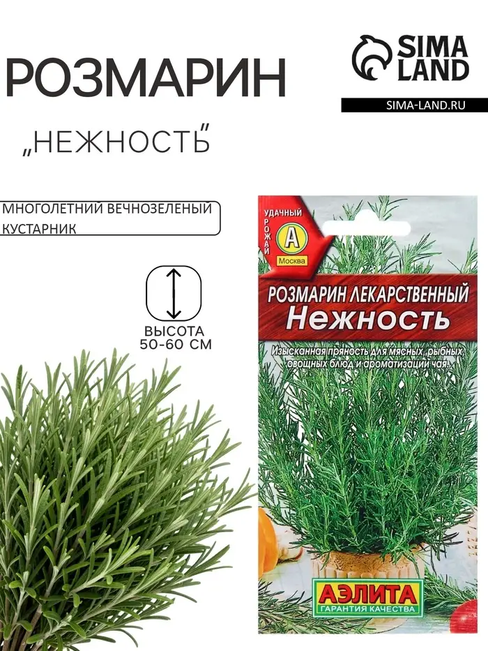Семена Розмарин &laquo;Нежность&raquo;, 20 шт., &laquo;АЭЛИТА&raquo;