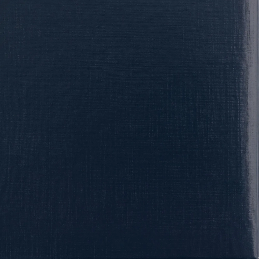 Папка адресная без тиснения бумвинил с поролоном синяя