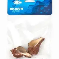 Ракушка декоративная, длина 5-6 см, ширина 4 см