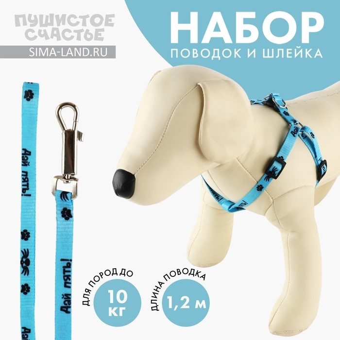 Комплект «Дай пять», шлейка 26-39 см, поводок 120х1 см Комплект «Дай пять», шлейка 26-39 см, поводок 120х1 см