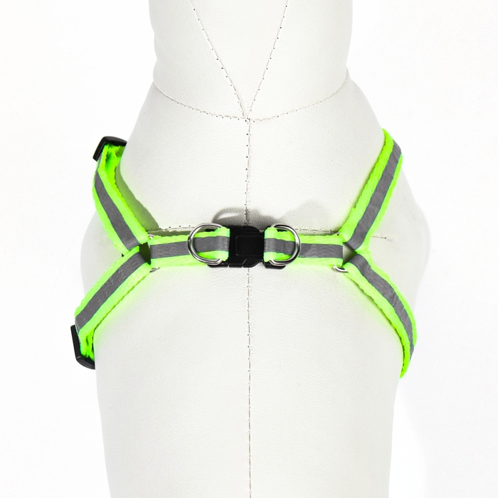 Комплект со светоотражающей лентой, ошейник 120 х 1 см, ОГ 26-40 см, зеленый Комплект со светоотражающей лентой, ошейник 120 х 1 см, ОГ 26-40 см, зеленый