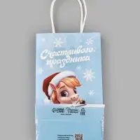 Пакет подарочный «Коняшка 2026», 12 × 21 × 9 см Пакет подарочный «Коняшка 2026», 12 × 21 × 9 см