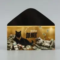Конверт для денег &laquo;С днём денег!&raquo;, кот,16.5&times;8 см