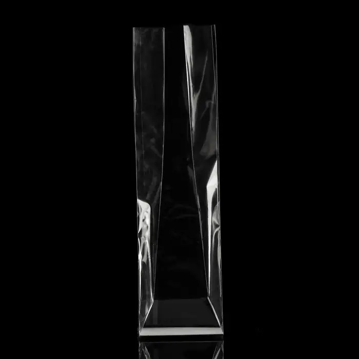 Пакет с жестким дном 6×8×30 см Пакет с жестким дном 6×8×30 см