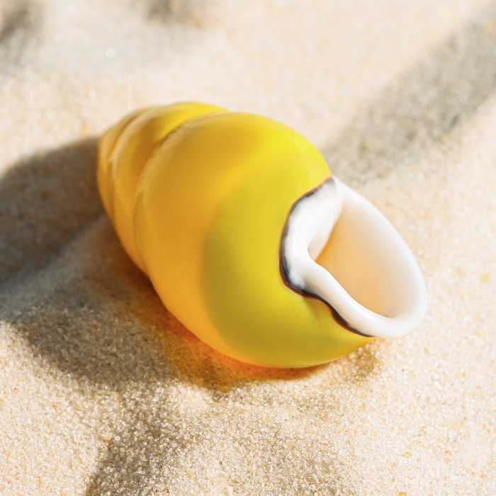 Ракушка декоративная, 4-5 см Ракушка декоративная, 4-5 см