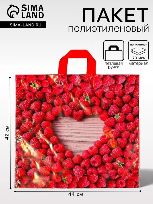 Пакет &laquo;Малина&raquo;, полиэтиленовый с петлевой ручкой, 44&times;42 см, 70 мкм