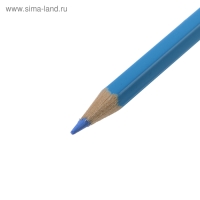 Карандаши 12 цветов Koh-I-Noor 3552, "Птицы"