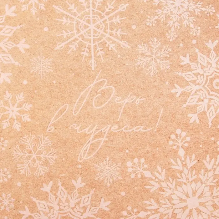 Бумага упаковочная крафтовая «Снегопад», 50 х 70 см