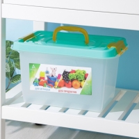 Бокс универсальный для игрушек и продуктов, 10 л, 35,9×24,2×21,1 см