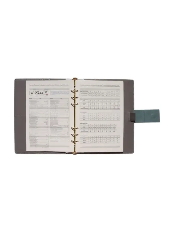 Органайзер на кольцах, А5, с хлястиком, 80л, линия, к/зам, Зеленый Органайзер на кольцах, А5, с хлястиком, 80л, линия, к/зам, Зеленый