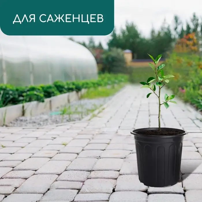 Горшок для рассады, 2 л, d=16 см, h=15 см, мягкий пластик, чёрный, Greengo Горшок для рассады, 2 л, d=16 см, h=15 см, мягкий пластик, чёрный, Greengo