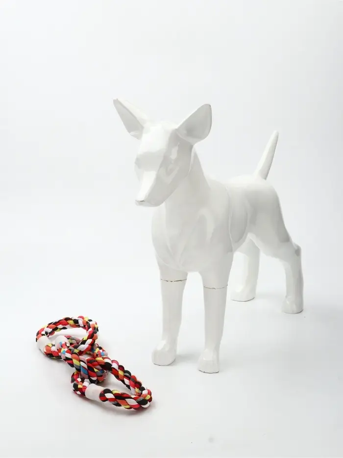 Игрушка для собак канатная &laquo;3 кольца&raquo;, тренировочная, до 36 см, до 120 г