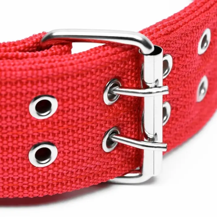 Ошейник, 80&times;4.9 см, ОШ 64-74 см, четырёхслойный, с вертлюгом, полиэстер, красный