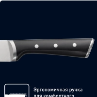 Набор ножей Ice Force K2324S74, 4 шт. 20 20 11 9 см