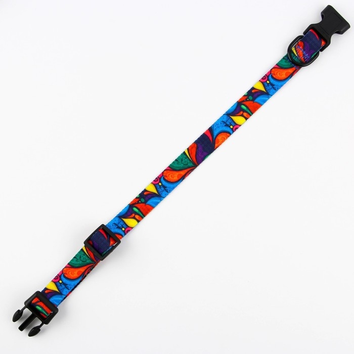 Ошейник «Невозможно слиться с улицей», застёжка - фастекс, 2.5 см, 40-55 см Ошейник «Невозможно слиться с улицей», застёжка - фастекс, 2.5 см, 40-55 см