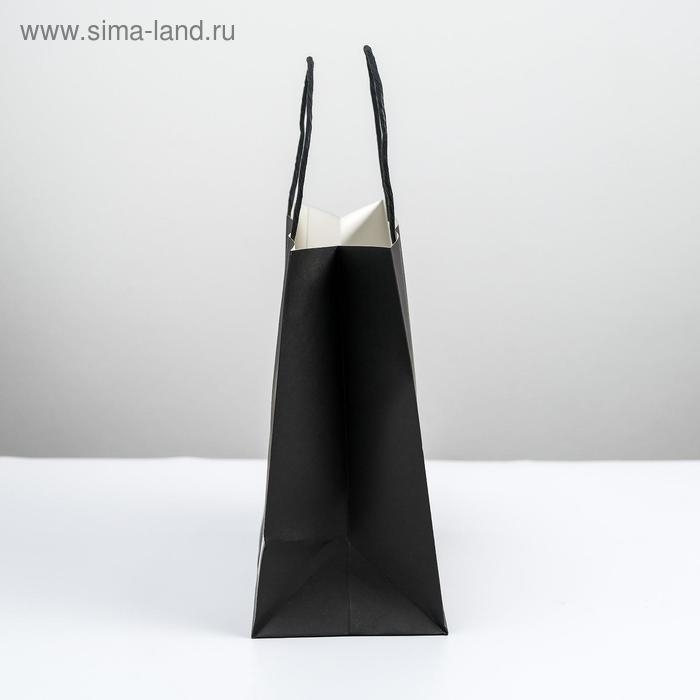 Пакет подарочный, упаковка, «С днищем», 22 х 22 х 11 см Пакет подарочный, упаковка, «С днищем», 22 х 22 х 11 см