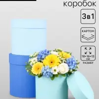 Набор круглых подарочных коробок &laquo;Аквамарин&raquo; 3 в 1 - 18&times;16&times;13 см
