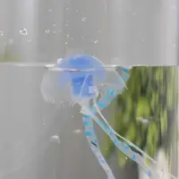 Светильник "Медузы" LED, RGB, USB, 3-5Вт, чёрный 9х9х25,5 см Светильник "Медузы" LED, RGB, USB, 3-5Вт, чёрный 9х9х25,5 см