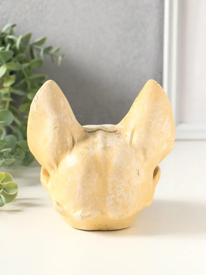 Копилка для денег &laquo;Череп сфинкса&raquo;, 14&times;14&times;13 см, натуральный