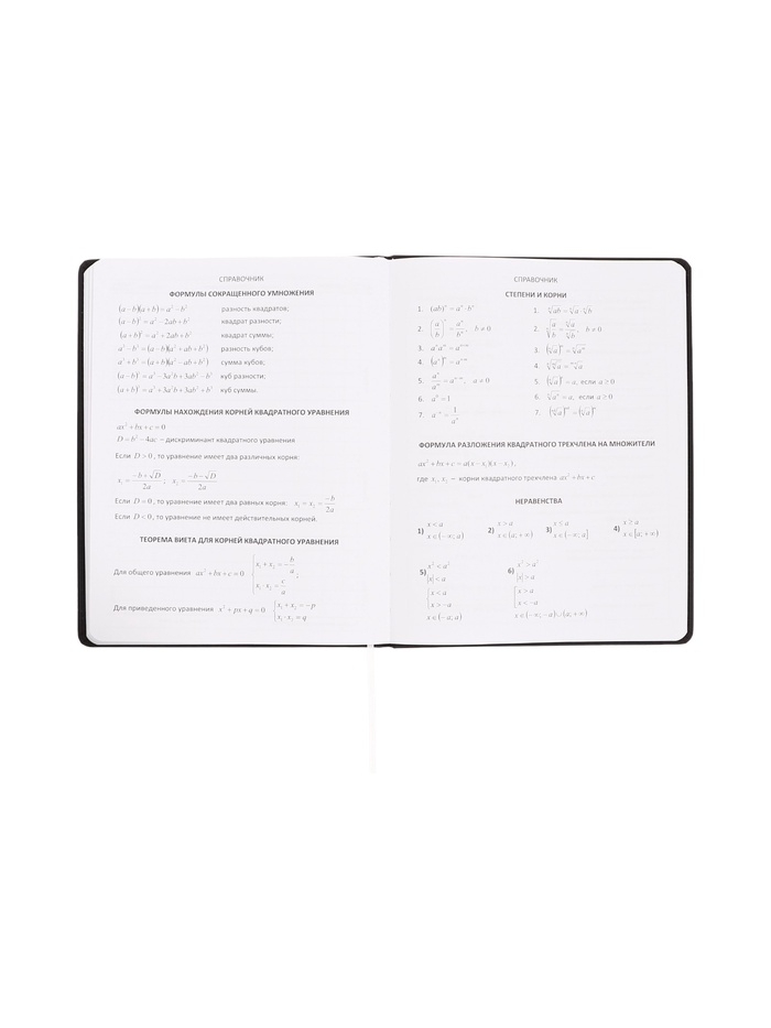 Дневник школьный 1-11 класс, deVENTE «ХЗ», искусственная кожа, шелкография
