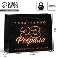 Пакет подарочный ламинированный, упаковка, «С 23 февраля», S 12 х 15 х 5.5 см