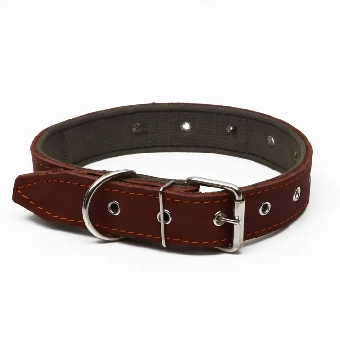 Ошейник комбинированный, безразмерный, 70&times;3.5 см, ОШ 25-60 см, кожа, брезент, коричневый