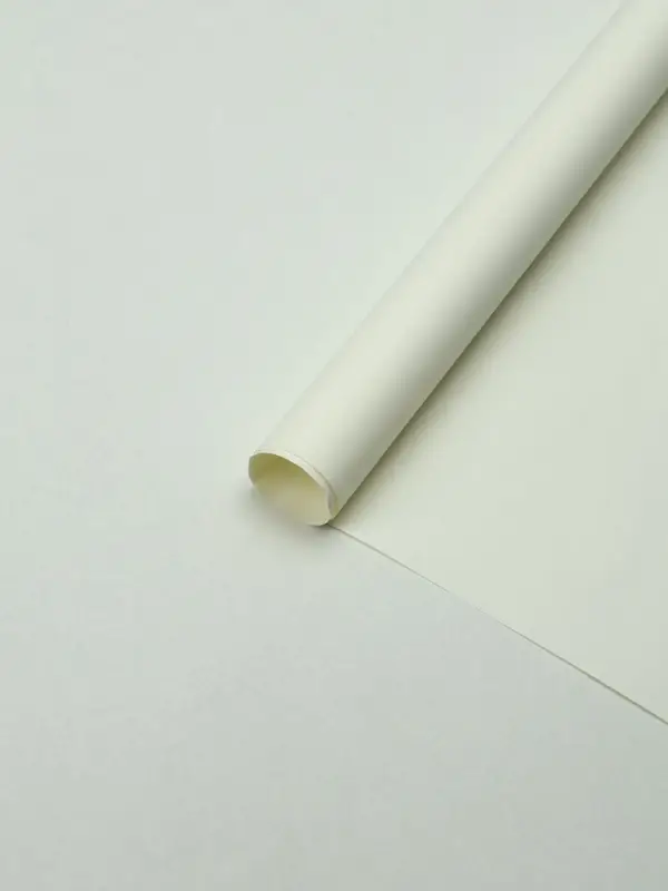 Бумага упаковочная крафт "Белая", 50 х 70 см