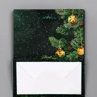 Пакет подарочный новогодний ламинированный, «Ветки елки» , 11.5×6.5×14.5 см Пакет подарочный новогодний ламинированный, «Ветки елки» , 11.5×6.5×14.5 см
