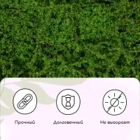 Декоративная панель, 90&times;40 см, &laquo;Мох&raquo;, Greengo