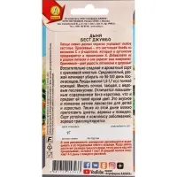 Семена Дыня &laquo;Бест Джумбо&raquo;, 1 г, &laquo;Аэлита&raquo;