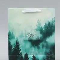 Пакет подарочный вертикальный &laquo;Подарок&raquo;, 26&times;32&times;12 см