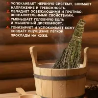 Веник для бани, шалфей, 45 (&plusmn; 5 см), &laquo;Добропаровъ&raquo;