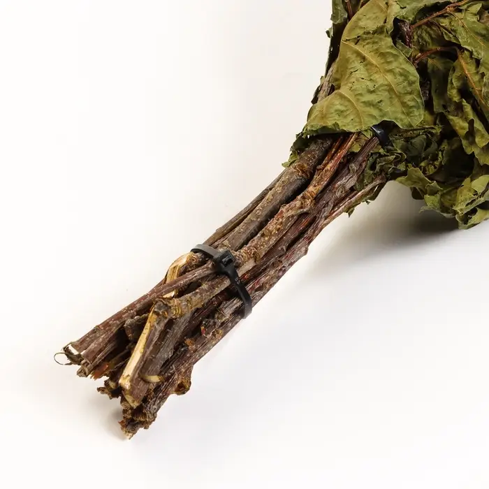 Веник для бани, дубовый, в пакете