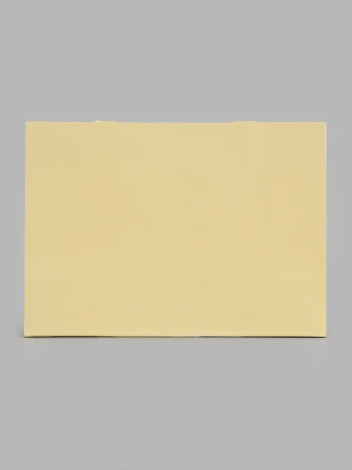 Пакет подарочный, ламинированный, горизонтальный, &laquo;Молочный&raquo;, 28&times;20&times;10 см