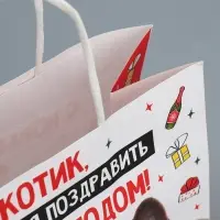 Пакет подарочный новогодний крафтовый &laquo;Котик&raquo;, 22&times;22&times;11 см