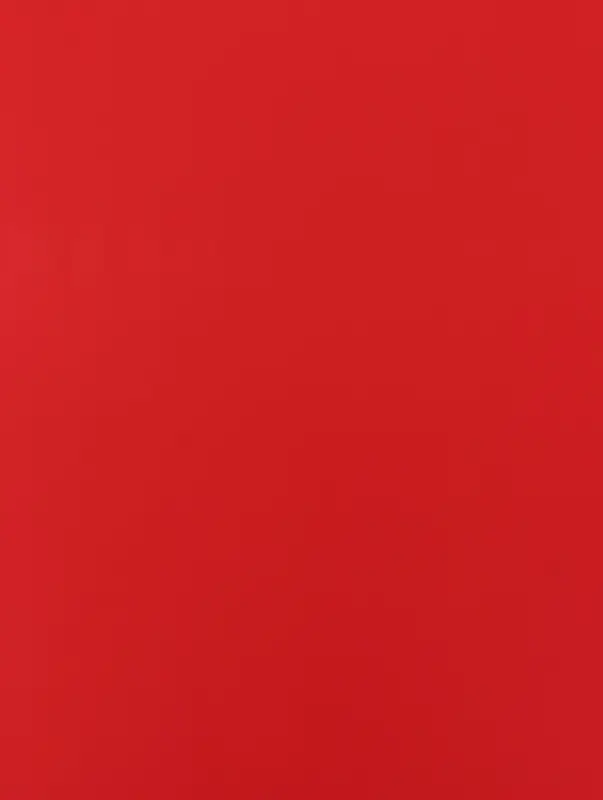 Пленка для цветов, &laquo;Удача&raquo;, винный, 57&times;57 см