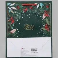 Пакет подарочный &laquo;Время чудес!&raquo;, 26&times;12&times;32 см