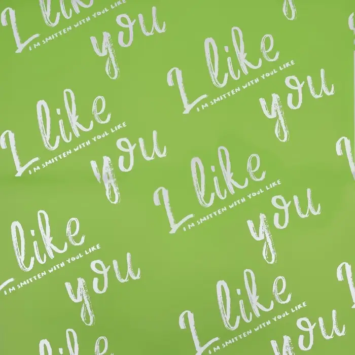 Пленка для цветов матовая, «Ты мне нравишься», 57×57 см, зелёная мята, 65 мкм Пленка для цветов матовая, «Ты мне нравишься», 57×57 см, зелёная мята, 65 мкм