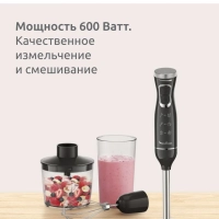 Блендер погружной DD5R38F0, 600 Вт